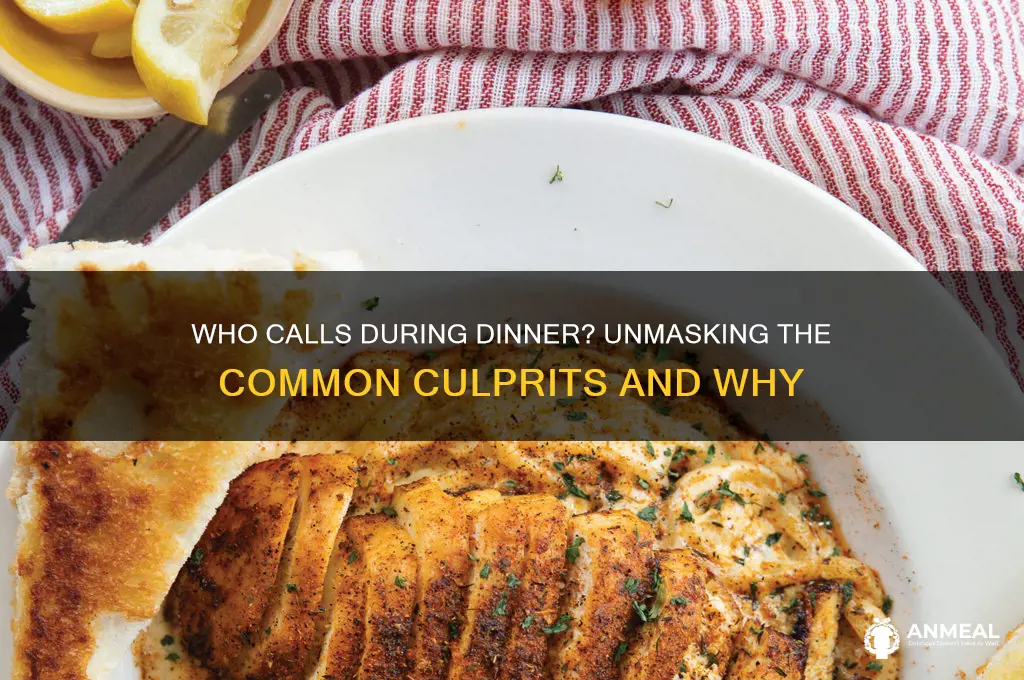 what who are they that call during dinner