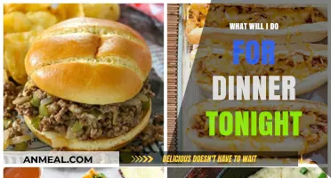 Quick Dinner Ideas: Tonight's Menu Made Simple and Delicious