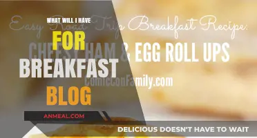 Delicious Breakfast Ideas: What Will I Have for Breakfast Today?