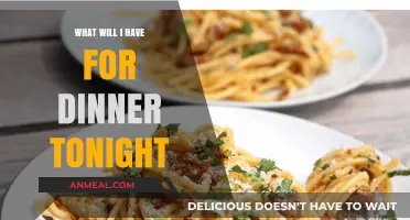 Delicious Dinner Ideas: Tonight's Menu Inspiration and Quick Recipes