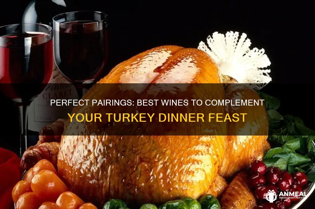 what wine goes with turkey dinner