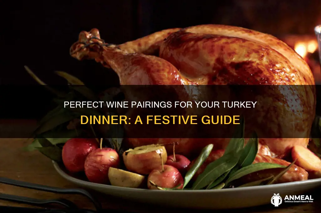 what wine pairs best with turkey dinner