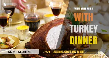 Perfect Wine Pairings for Your Turkey Dinner: A Festive Guide