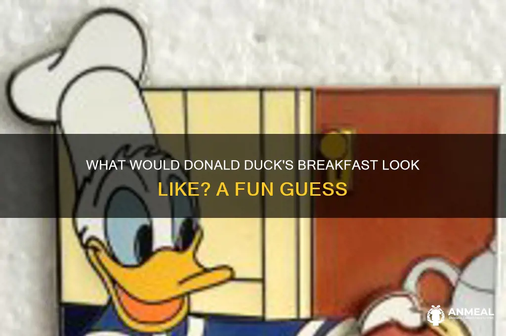 what woukd donald educk wat for breakfast