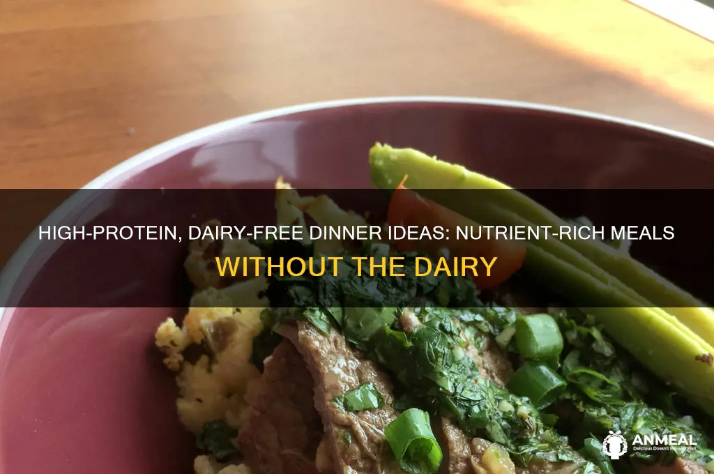 what would a high protein no dairy dinner consist of