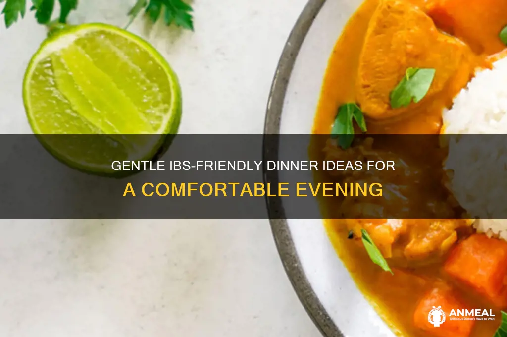 what would be a light dinner with ibs