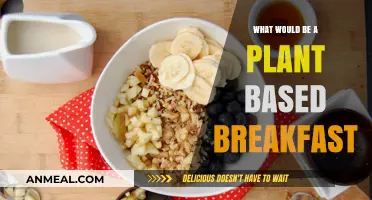 Delicious Plant-Based Breakfast Ideas for a Healthy Morning Boost