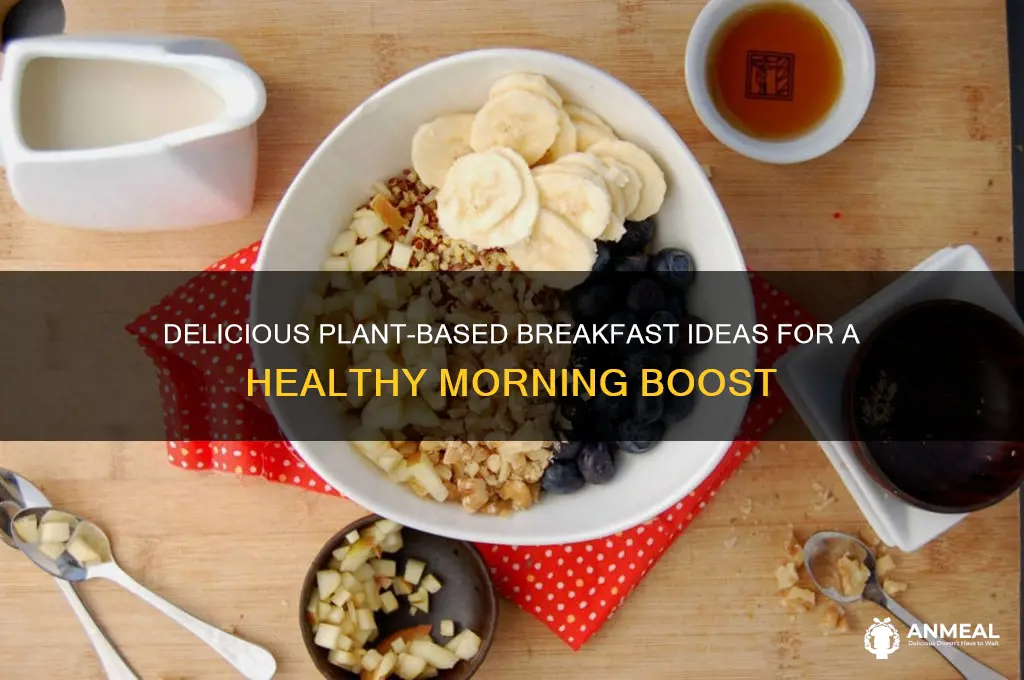 what would be a plant based breakfast