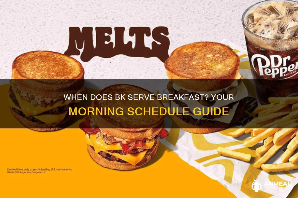 what yime does bk breakfast enx