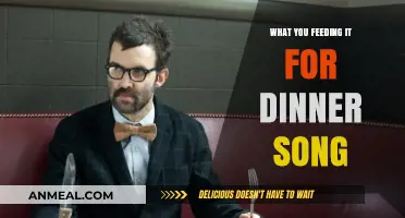 What You Feeding It for Dinner Song: Lyrics, Meaning, and Fun Facts