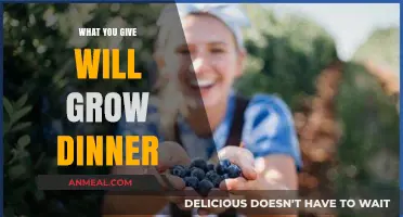 Sow Generosity, Harvest Abundance: How Giving Grows Your Dinner Table