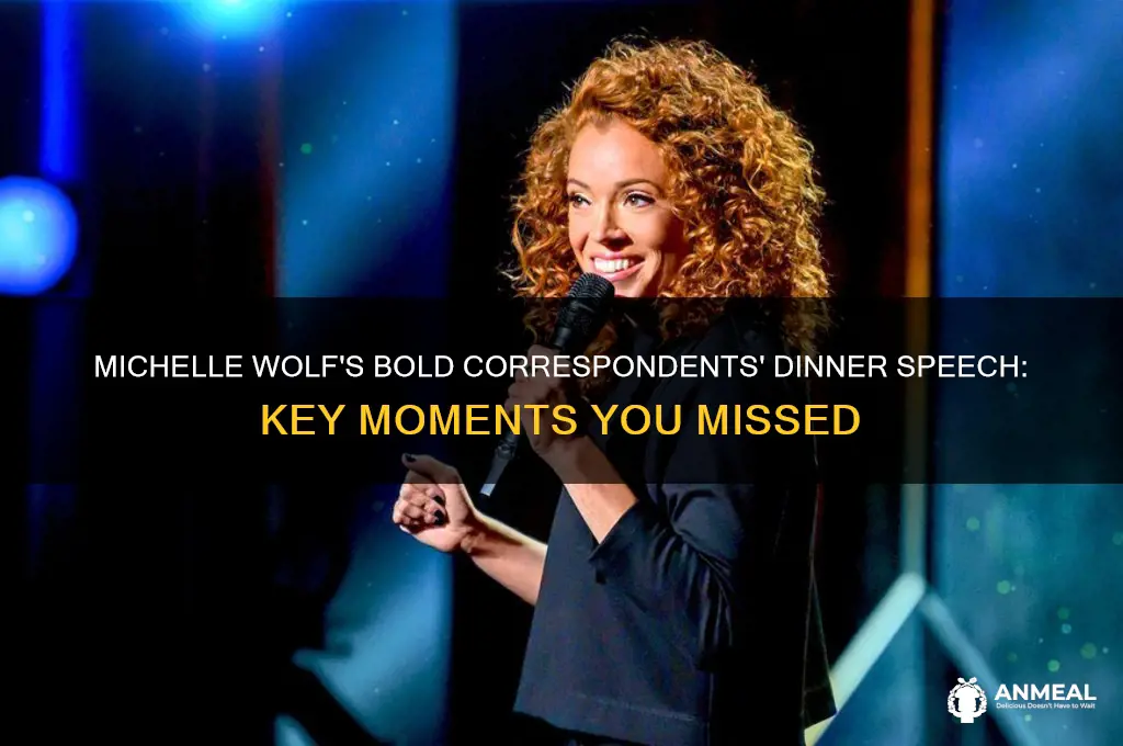 what you missed from michelle wolf