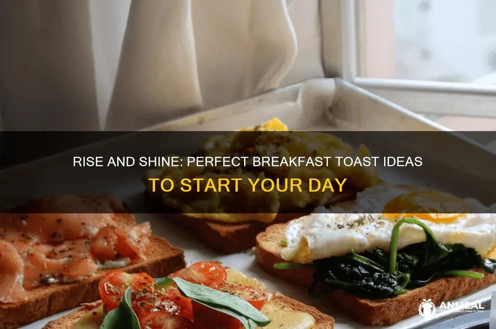 what you would toast at breakfast