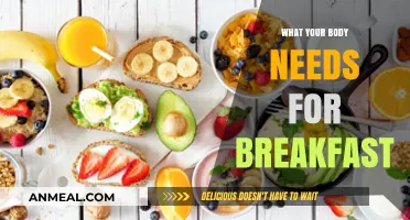 Fuel Your Morning: Essential Nutrients for a Healthy Breakfast
