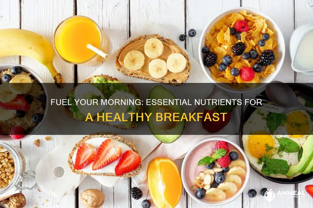 what your body needs for breakfast