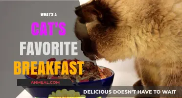Purr-fect Mornings: Discovering Cats' Favorite Breakfast Delights