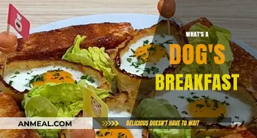 Unraveling the Messy Meaning of a Dog's Breakfast: A Culinary Curiosity