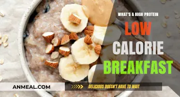 Fuel Your Day: High-Protein, Low-Calorie Breakfast Ideas to Try
