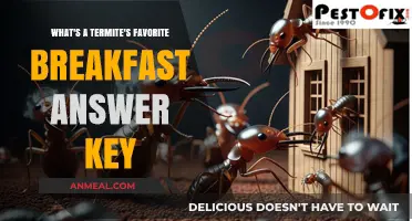 Termite's Breakfast Secrets: Unlocking Their Favorite Morning Feast Answer