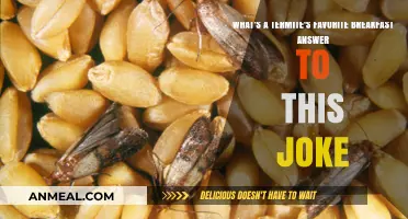 Termite's Breakfast Joke: Unveiling Their Hilarious Morning Meal Preference