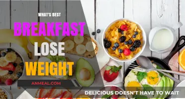 Healthy Breakfast Ideas to Kickstart Your Weight Loss Journey