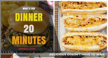 Quick Dinner Ideas: 20-Minute Meals to Save Your Evening