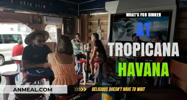Tropicana Havana's Dinner Delights: A Taste of Cuban Cuisine