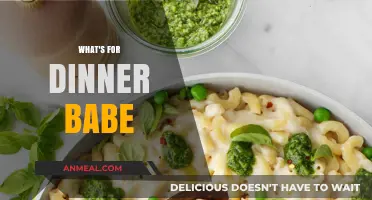 What's for Dinner, Babe? Quick, Easy, and Delicious Meal Ideas