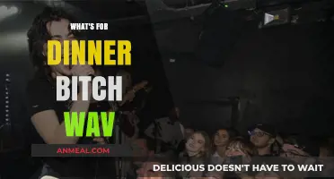 What's for Dinner, Bitch? WAV File Secrets and Recipes