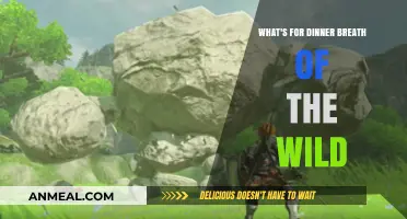 Breath of the Wild Dinner Ideas: Easy, Hearty Meals for Gamers