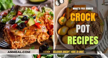 Easy Crock Pot Dinner Ideas for Busy Weeknights