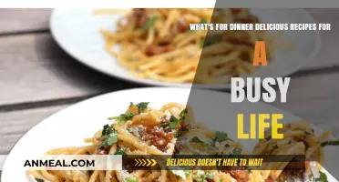 Quick, Tasty Dinner Ideas for Your Hectic Schedule
