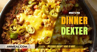 Dexter's Dinner Dilemma: Creative Meal Ideas to Spice Up Your Evening