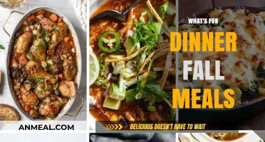 Cozy Fall Dinner Ideas: Hearty Meals for Chilly Evenings