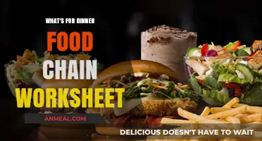 Exploring the Food Chain: Fun Dinner-Themed Worksheet for Kids