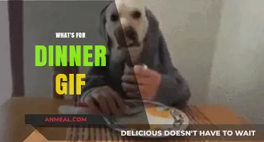 What's for Dinner? Hilarious GIFs to Spice Up Your Evening