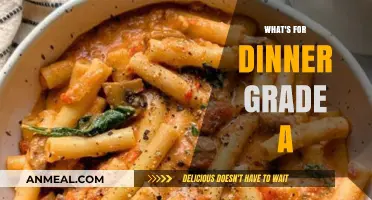 Grade A Dinner Ideas: Quick, Healthy, and Delicious Meals Tonight