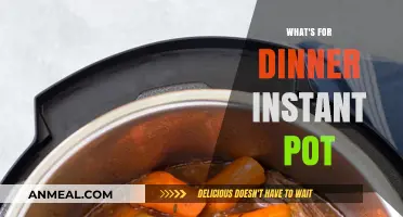 Quick & Easy Instant Pot Dinner Ideas for Busy Nights