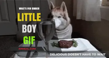 What's for Dinner Little Boy GIF: Funniest Reactions Explained