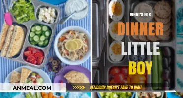 What's for Dinner, Little Boy? Creative Meal Ideas for Kids