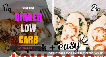 Delicious Low-Carb Dinner Ideas to Fuel Your Evening Right
