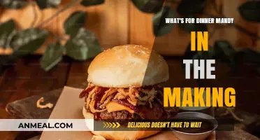 Mandy's Dinner Adventures: Exploring Tonight's Menu in the Making