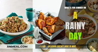 Cozy Rainy Day Dinner Ideas: Warm, Comforting Meals to Savor