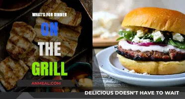 Sizzling Grill Dinner Ideas: Quick, Easy, and Delicious Recipes Tonight