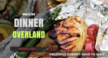 Overland Dinner Ideas: Quick, Easy, and Delicious Meals for Adventure