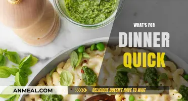Quick Dinner Ideas: Simple, Fast, and Delicious Meals Tonight