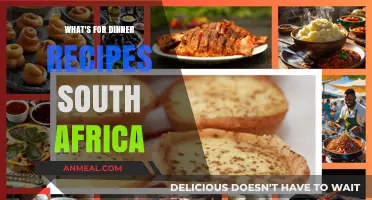 Delicious South African Dinner Recipes to Try Tonight