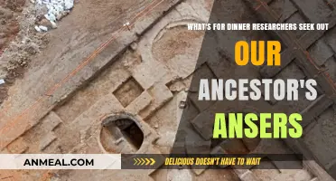 Uncovering Ancient Dinner Secrets: Researchers Explore Ancestral Culinary Answers