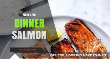 Delicious Salmon Dinner Ideas: Quick, Healthy, and Easy Recipes Tonight