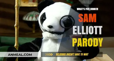 Sam Elliott’s Dinner Dilemma: A Hilarious Parody of What’s Cooking